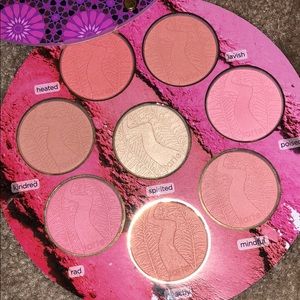 BIG Blush book 3 by Tarte